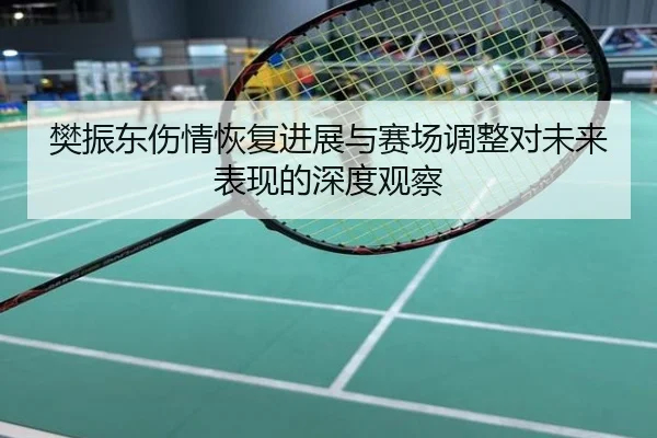 樊振东伤情恢复进展与赛场调整对未来表现的深度观察
